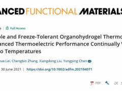 陈永平《AFM》：有机水凝胶热电池可以在零度以下连续工作