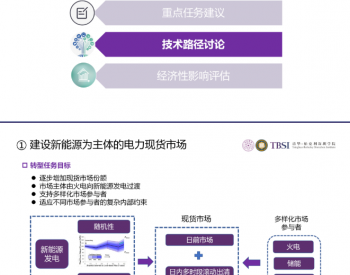 报告：碳中和下我国电价及电力系统<em>改革路径</em>(PPT)