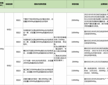 800MW！华润电力发布2021年度第一批光伏<em>项目组</em>件集中采购招标