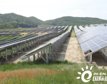 晶科能源助力国际企业在日光伏项目建设