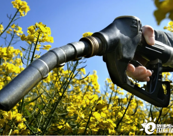 欧盟<em>生物燃料</em>需求激增或危及生态