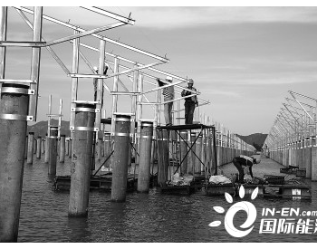 浙江省重点建设100兆瓦“渔光互补”光伏发电项目，年均发电量可达1.4亿度