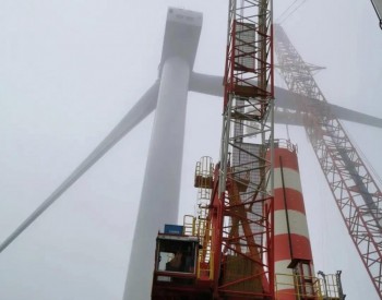 100%、超95%——超高國產率怎樣誕生？