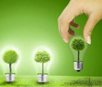 碳中和的“真”與“假”