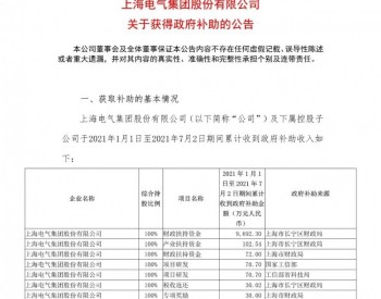 2021年上半年 上海电气获约3.76亿<em>政府资金</em>支持