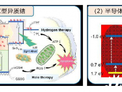 上海交通大学<em>氢科学</em>中心研究进展：氢气-空穴联合疗法”有效捣毁肿瘤微环境，高效抗癌