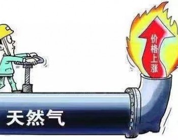 贵州省威宁自治县发展和改革局关于上调天<em>然气销售价格</em>有关事宜的通知