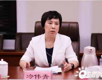 <em>冷伟青</em>重返上海电气 接任上海电气集团董事长一职！