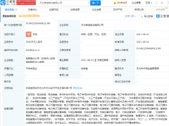 比亚迪刚刚在安徽成立了一家新<em>电池公司</em> 注册资本5000万元