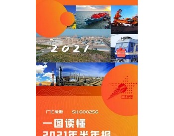 一图读懂广汇能源2021<em>半年报</em>