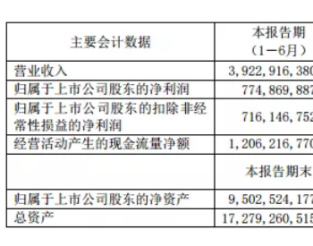 负极龙头<em>璞泰来</em>上半年实现净利润7.75亿，同比增幅近300%！