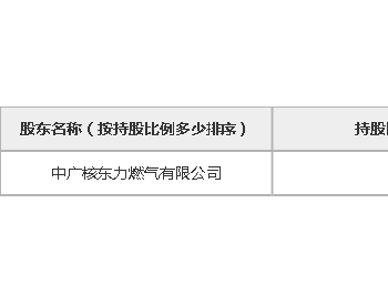 广东省<em>东莞市</em>大朗东力天然气有限公司100%股权