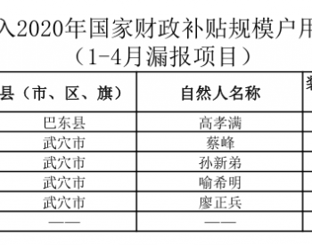2020年1-4月湖北省漏报纳入国补规模<em>户用光伏项目</em>名单统计数据表
