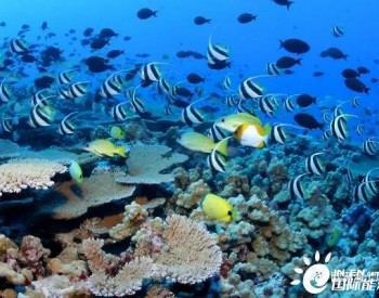 海風發展，環境先行！