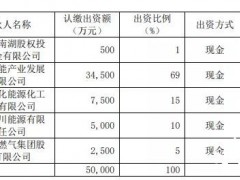 出资7500万元，嘉化能源参投<em>氢能产业基金</em>