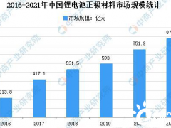 全球将现50%锂需求缺口：2021年中国锂<em>材料市场</em>现状及发展趋势预测分析