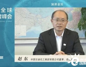 赵东：中国石化将持续开展<em>CCUS技术</em>研发与推广应用