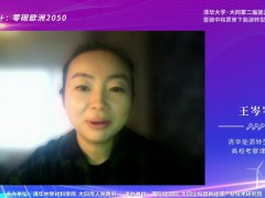 关于瑞典林奈大学的考察 (0播放)