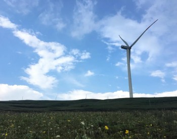 在云之南，做一顆綠色的星