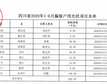 2020年1-6月四川省纳入国补规模户用光伏项目名单统计数据表（漏报）