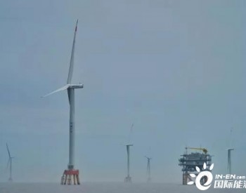 浙江省新能源裝機占比首超20%