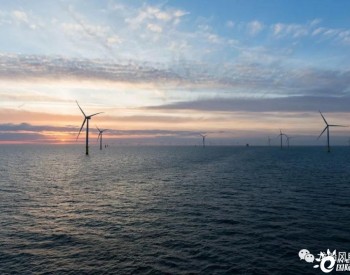 Australis Energy拟再启动两个海上风电项目