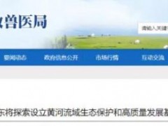 氢能源投资39.35亿元，山东将设立高质量发展基金