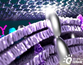 科学家将银纳米颗粒添加到细菌 以获得更高效的微生物燃料电池