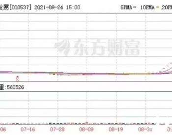 “妖股”<em>广宇发展</em>：与地产决裂，在新能源中疯狂