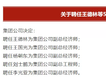 人事变动｜中核集团一次性任命四位副总经济师、一位<em>副总工程师</em>