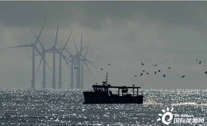 爱尔兰开启首次海上风电拍卖磋商