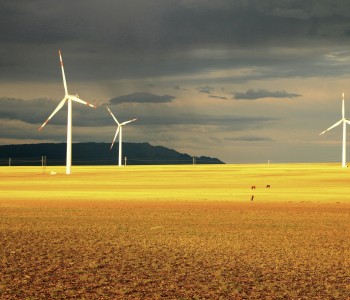 总规模1.2GW，单个项目最少150MW！辽宁大连印发陆上风电项目竞争配置工作方案！