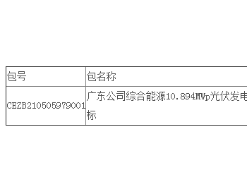 中标 | 广东公司综合能源10.894MWp光伏发电项目EPC工程公开招标中标结果公告
