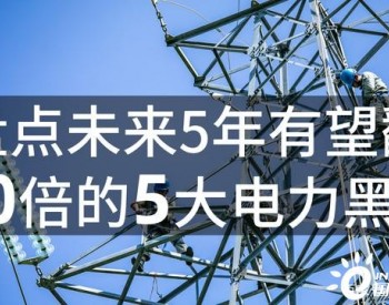 未来5年有望翻10倍的5大电力黑马，<em>中国风电</em>迎来历史机遇！