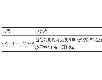 中标 | 浙江公司能源发展公司龙游文洋实业有限公司1.04985MWp<em>分布式光伏发电</em>项目EPC工程公开招标中标结果公告