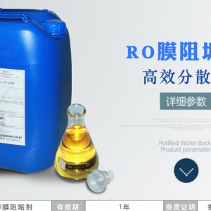 河北岳洋化工供应RO膜专用反渗透阻垢剂
