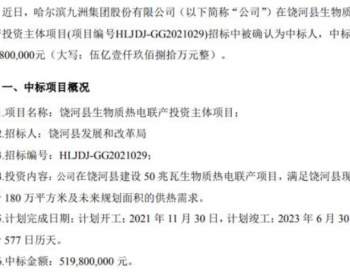 <em>九洲集团</em>中标黑龙江饶河县生物质热电联产项目 中标价5.2亿