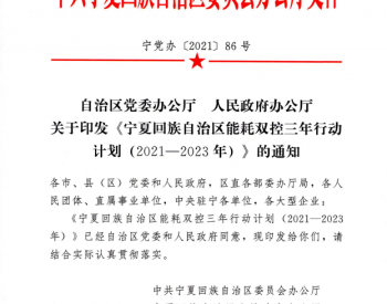宁夏自治区党委办公厅 人民政府办公厅关于印发《宁夏回族自治区能耗双控三年行动计划（2021-2023年）》的通知