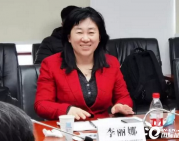 李丽娜获任中国<em>能源建设集团</em>有限公司党委常委！