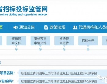 招标丨含16.6MW风机，这个500MW<em>海上项目</em>二次招标！