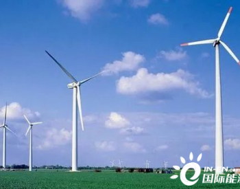 专家观点丨2021中国<em>风电市场</em>研究
