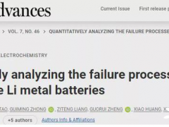 <em>厦门大学</em>杨勇教授课题组定量研究锂金属电池失效机制