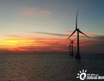 “瓜分”完畢！全球最大海上風電場3.6GW容量全部售罄