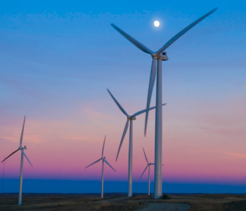 3年新开工风光项目装机超20万千瓦！浙江舟山市普陀区出台低碳试点县建设实施方案！