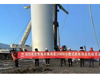 通渭义岗二期 、都兰、海晏<em>三项目</em>全部完成风机吊装