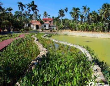 海南：2025年底农村生活污水治理率达九成以上