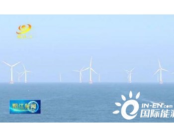 海上风电看<em>广东阳江</em>！见证风电项目全容量并网发电