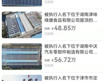 湖南石峰：<em>拍卖</em>九座光伏发电站，追回企业呆账800万