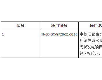 中标 | 中核汇能金塔汇升<em>新能源有限公司</em>800MW光伏发电项目EPC总承包（标段八）中标公告