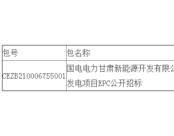 中标 | 国电电力甘肃<em>新能源开发</em>有限公司定西通渭一期4MW分布式光伏发电项目EPC公开招标中标结果公告